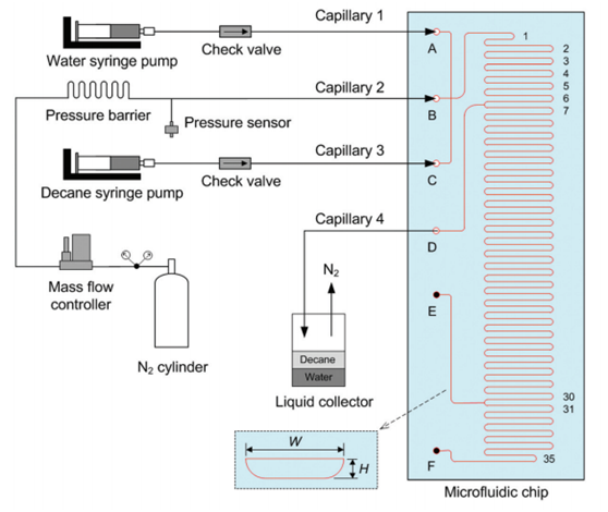 【埃因霍溫理工大學案例】基于兩相體系提出的微流控芯片中氣-液-液三相（葵烷-水-氮氣）體系的流型及壓降的研究